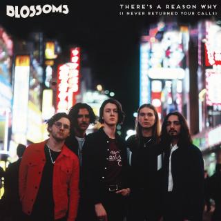Artwork for There's A Reason Why (I Never Returned Your Calls)