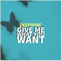 Artwork for Give Me What You Want by Deepwire