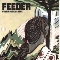 Artwork for Pushing the Senses by Feeder