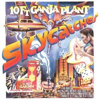 Artwork for Skycatcher by 10 Ft. Ganja Plant