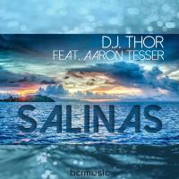 Artwork for Salinas by D.J. Thor