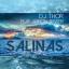 Artwork for Salinas (Akeem One Soul Mix)