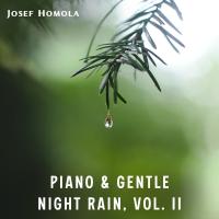 Artwork for Piano & Gentle Night Rain, Vol. II by Josef Homola