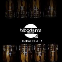 Artwork for Tribal Beat 1 by Plastikbeat