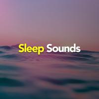 Artwork for Sleep Sounds by Rain Sounds Sleep