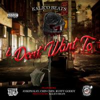 Artwork for I Don't Want To  (feat. Joseph Kay, Chin Chin & Ruffy Goddy) by Kalico Beats