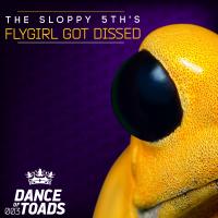 Artwork for Flygirl Got Dissed by The Sloppy 5Th's