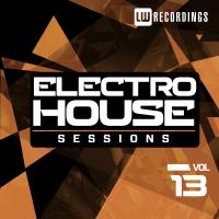 Artwork for Electro House Sessions, Vol. 13 by Various Artists