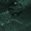 Artwork for Mutoid (Kroman Celik Remix)