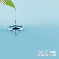 Artwork for Soft Rain for Sleep by Rain Sounds Sleep