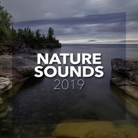 Artwork for Nature Sounds 2019 by Nature Sounds