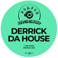 Artwork for Trip Inside by Derrick Da House