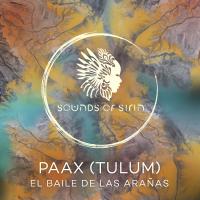 Artwork for El Baile de las Arañas by PAAX (Tulum)