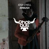 Artwork for Ambush by Josh O'Nell