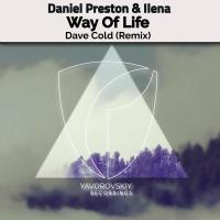 Artwork for Way Of Life (Dave Cold Remix) by Daniel Preston