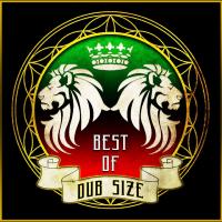 Artwork for Best of Dub Size by Dub Size