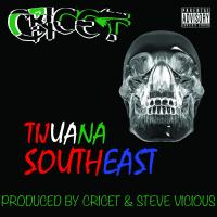 Artwork for Tijuana Southeast by Cricet