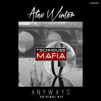 Artwork for Anyways by Alex Winter