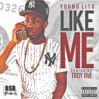 Artwork for Like Me (feat. Troy Ave) by Young Lito