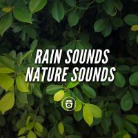 Artwork for Rain Sounds Nature Sounds by Sleep Music