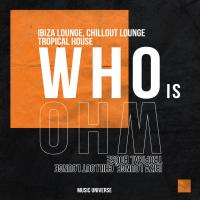 Artwork for Who Is Who by Ibiza Lounge