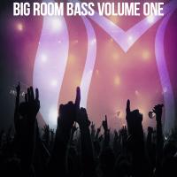 Artwork for Big Room Bass, Vol. 1 by Various Artists