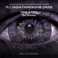 Artwork for Time Steel by Fly