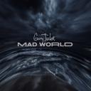 Artwork for Mad World