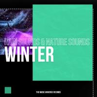 Artwork for Winter by Rain Sounds