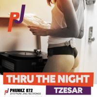 Artwork for Thru The Night by Tzesar