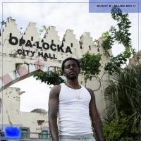 Artwork for Blues Boy 2 by Bushy B