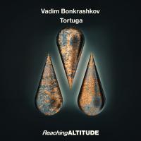 Artwork for Tortuga by Vadim Bonkrashkov