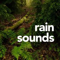 Artwork for Rain Sounds by ASMR Rain Sounds