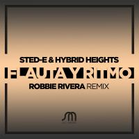 Artwork for Flauta Y Ritmo by Sted-E & Hybrid Heights