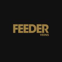 Artwork for Veins by Feeder