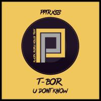 Artwork for U Don't Know by T-Bor