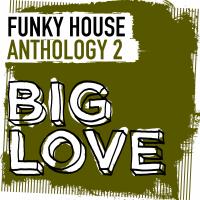 Artwork for Big Love Funky House Anthology 2 by Various Artists