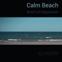 Artwork for Calm Beach by Bunch of Frequencies