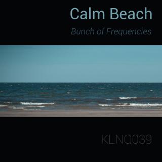Artwork for Calm Beach (Original Mix)