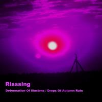 Artwork for Deformation Of Illusions by Risssing