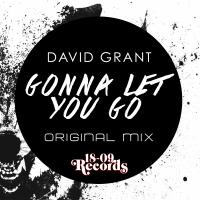 Artwork for Gonna Let You Go by David Grant