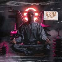 Artwork for The Light by SHA