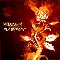 Artwork for Flashpoint by Milosh K