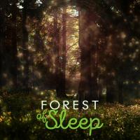 Artwork for Forest of Sleep by Nature Sounds For Sleep and Relaxation