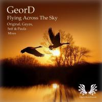 Artwork for Flying Across The Sky by GeorD