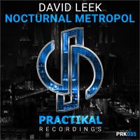 Artwork for Nocturnal Metropol by David Leek