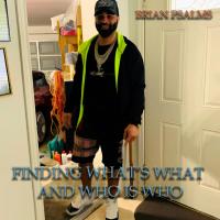 Artwork for Finding What's What And Who Is Who by Brian Psalms