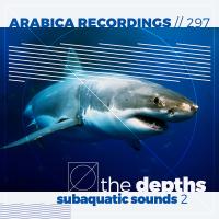 Artwork for The Depths: Subaquatic Sounds, Vol. 1 by Various Artists