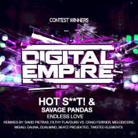 Artwork for Endless Love by Hot Shit!