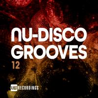 Artwork for Nu-Disco Grooves, Vol. 12 by Various Artists